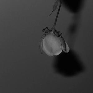 再深点灬舒服灬太大了添吃奶
